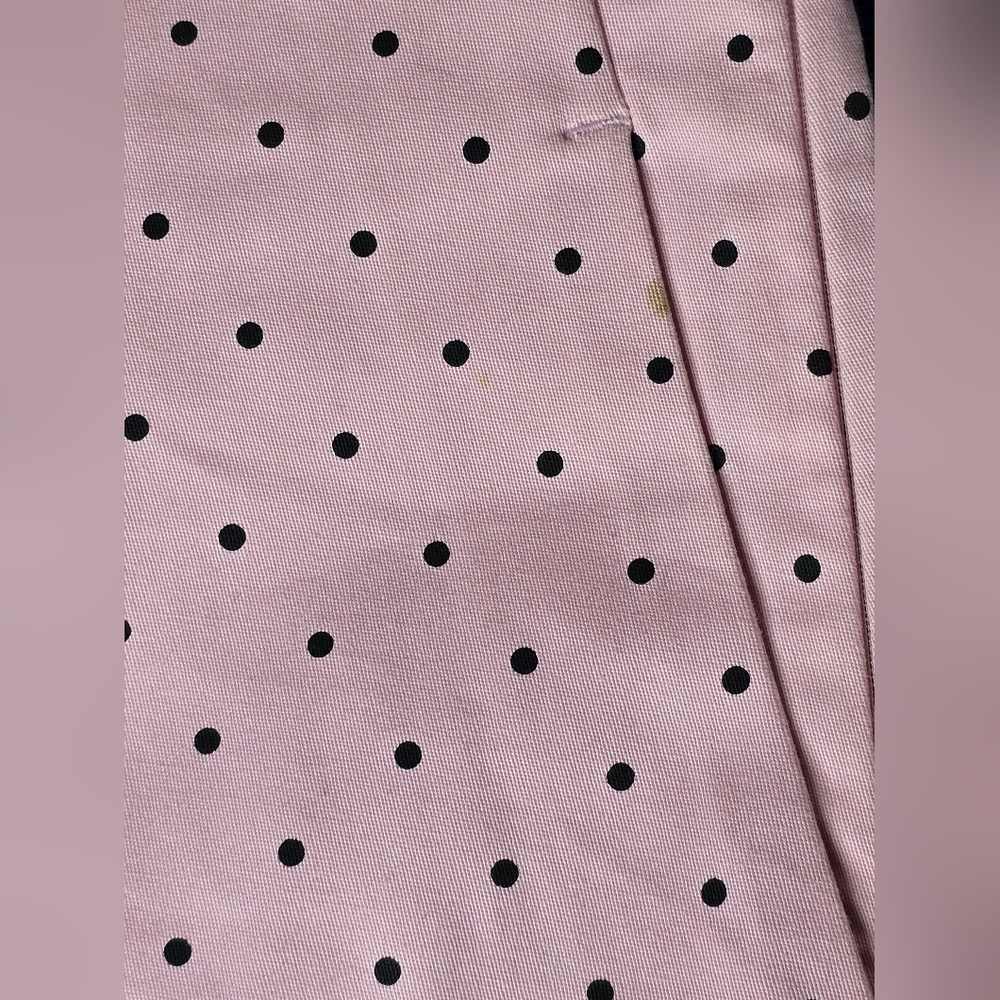 Zara Baby Pink Polka Dot Ruffle Hem Women's Shorts Size XS - Picture 4 of 14